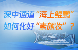 “海上鲲鹏”如何化好“素颜妆”？西人工岛的暗埋段隧道，浇筑体量大、标准要求高。如何保证混凝土内实外美，为“海上鲲鹏”化好“素颜妆”？