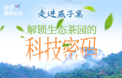 走进燕子窠，解锁生态茶园的科技密码近日，记者来到福建省南平市星村镇燕子窠生态茶园，探寻茶园背后那些动人的科学故事和生态奇缘。