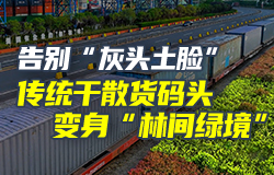 传统干散货码头变身“林间绿境”面对散货作业中难以避免的粉尘污染问题，日照港没有止步于传统的苫盖物料和喷淋增湿等常规手段，而是开发出了全新的抑尘技术。