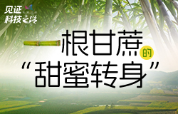 一根甘蔗的“甜蜜转身”走进广西来宾，探寻一根甘蔗如何在科技助力下实现“甜蜜转身”，撬起万家的甜蜜生活。