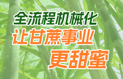 全流程机械化让甘蔗事业更甜蜜耕、种、管、收、运的全流程机械化，使甘蔗产业发生了翻天覆地的变化。